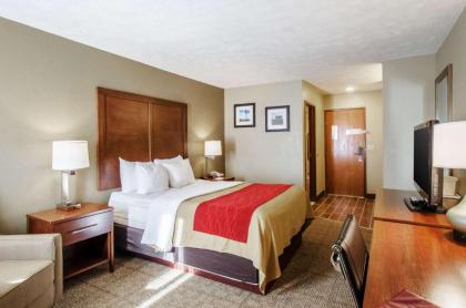 Comfort Inn Lexington - image 11