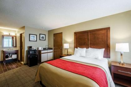 Comfort Inn Lexington - image 14