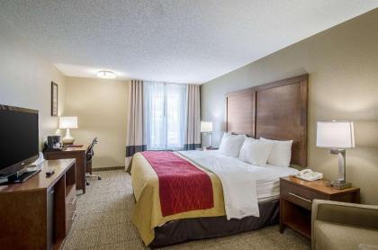 Comfort Inn Lexington - image 2