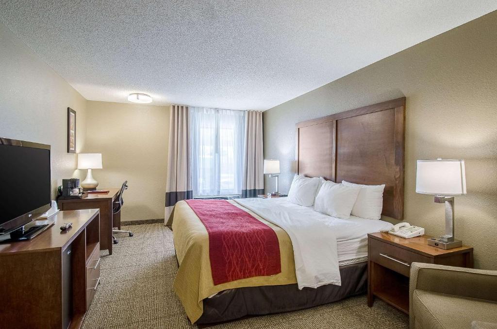 Comfort Inn Lexington - image 2