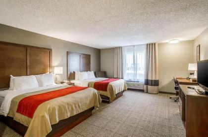Comfort Inn Lexington - image 3