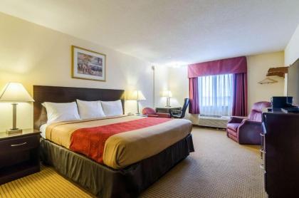 Econo Lodge Lexington - image 2