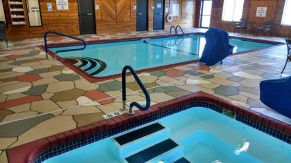 Holiday Inn Express Hotel & Suites Lexington an IHG Hotel - image 6