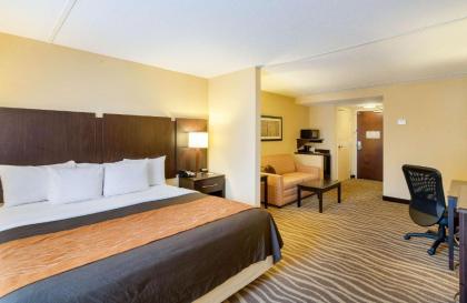 Comfort Inn & Suites Lexington Park - image 11