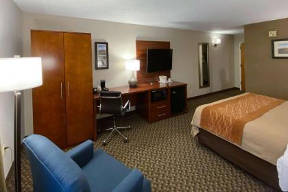 Comfort Inn Virginia Horse Center - image 11