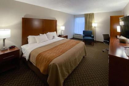Comfort Inn Virginia Horse Center - image 12