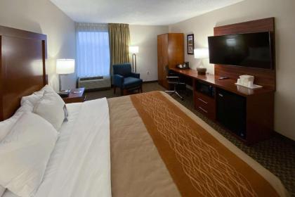 Comfort Inn Virginia Horse Center - image 14