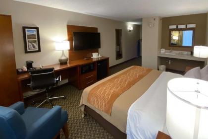 Comfort Inn Virginia Horse Center - image 9