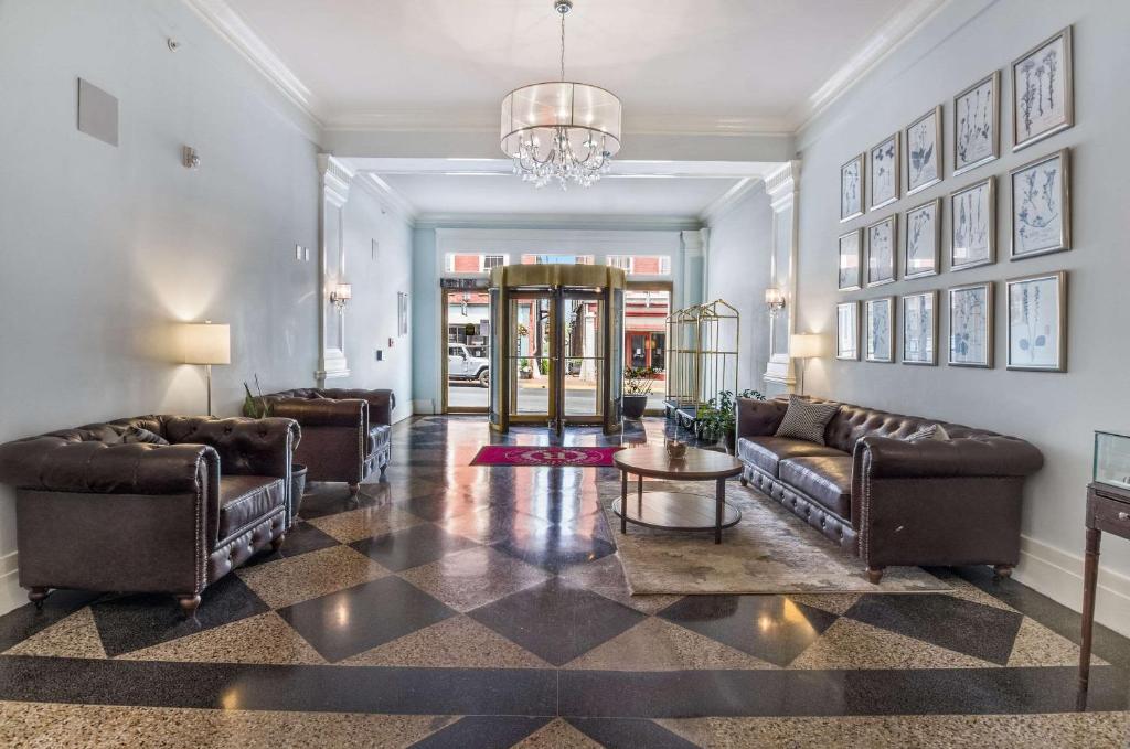 The Gin Hotel Ascend Hotel Collection - image 6