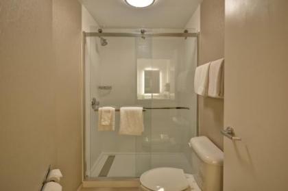 SpringHill Suites Lexington Near the University of Kentucky - image 4
