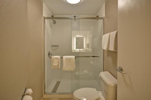 SpringHill Suites Lexington Near the University of Kentucky - image 4