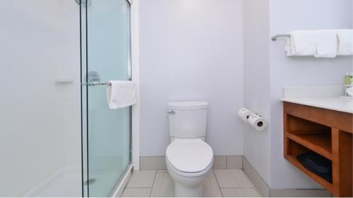 Holiday Inn Express & Suites Lexington Midtown - I-75 an IHG Hotel - image 3