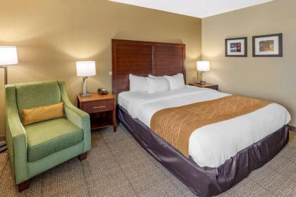 Comfort Inn & Suites Lincoln Talladega I-20 - image 10