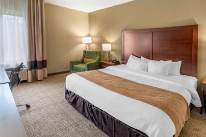Comfort Inn & Suites Lincoln Talladega I-20 - image 11