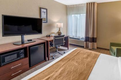 Comfort Inn & Suites Lincoln Talladega I-20 - image 12