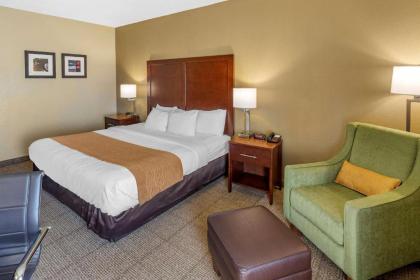 Comfort Inn & Suites Lincoln Talladega I-20 - image 13