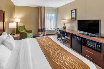 Comfort Inn & Suites Lincoln Talladega I-20 - image 14