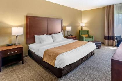 Comfort Inn & Suites Lincoln Talladega I-20 - image 15