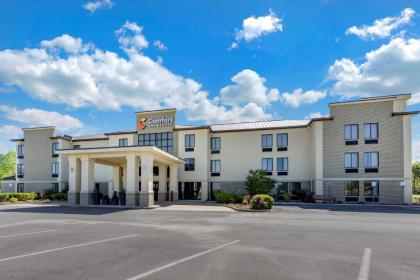 Comfort Inn & Suites Lincoln Talladega I-20 - image 3