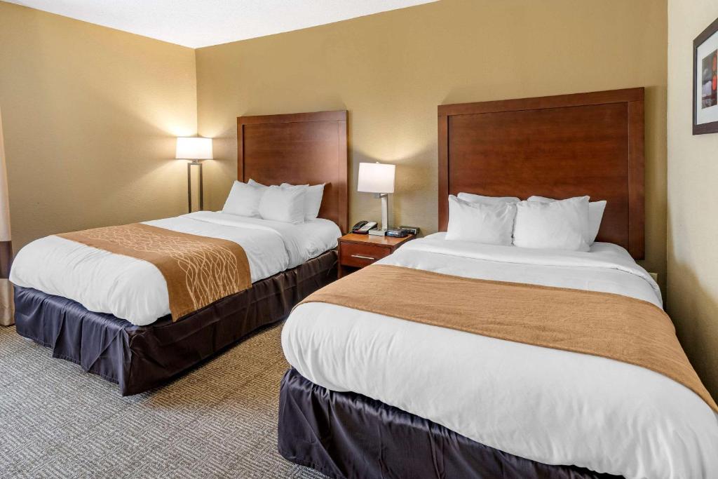 Comfort Inn & Suites Lincoln Talladega I-20 - image 5