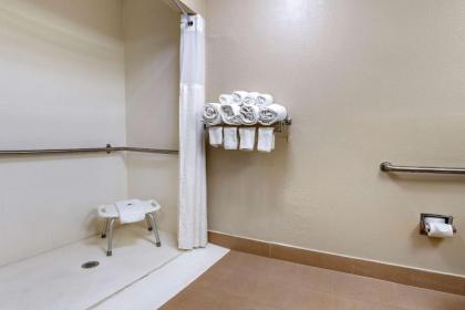 Comfort Inn & Suites Lincoln Talladega I-20 - image 8
