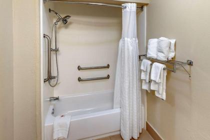 Comfort Inn & Suites Lincoln Talladega I-20 - image 9