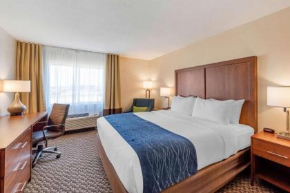 Comfort Inn & Suites near Route 66 Award Winning Gold Hotel 2021 - image 10