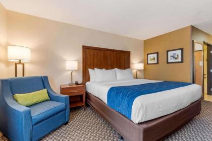 Comfort Inn & Suites near Route 66 Award Winning Gold Hotel 2021 - image 12