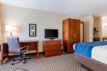 Comfort Inn & Suites near Route 66 Award Winning Gold Hotel 2021 - image 13