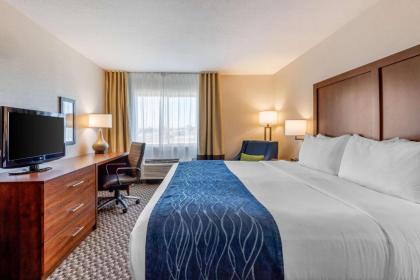 Comfort Inn & Suites near Route 66 Award Winning Gold Hotel 2021 - image 14
