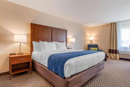 Comfort Inn & Suites near Route 66 Award Winning Gold Hotel 2021 - image 15