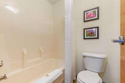 Comfort Inn & Suites near Route 66 Award Winning Gold Hotel 2021 - image 3