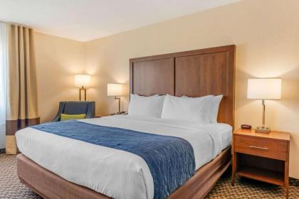 Comfort Inn & Suites near Route 66 Award Winning Gold Hotel 2021 - image 7