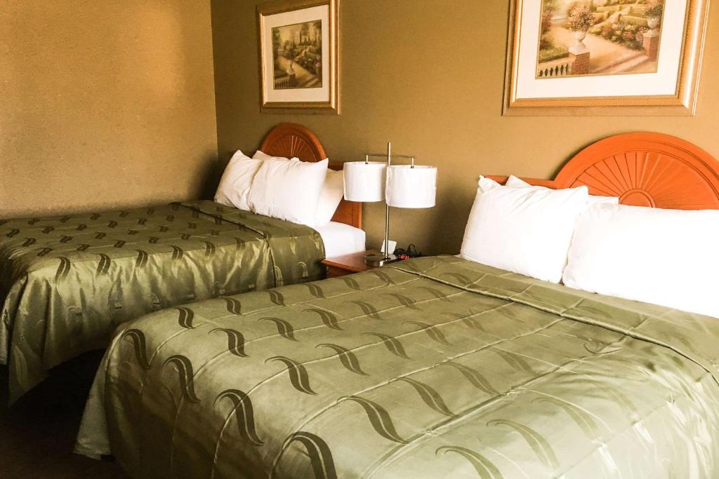 Quality Inn & Suites Lincoln near I-55 - image 4
