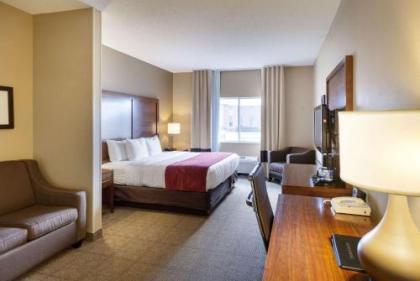 Comfort Suites University - image 4