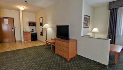 Holiday Inn Express Hotel & Suites Lincoln South an IHG Hotel - image 3