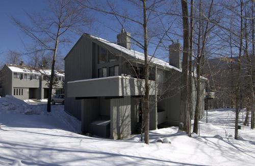 Village of Loon Mountain - VI - image 2