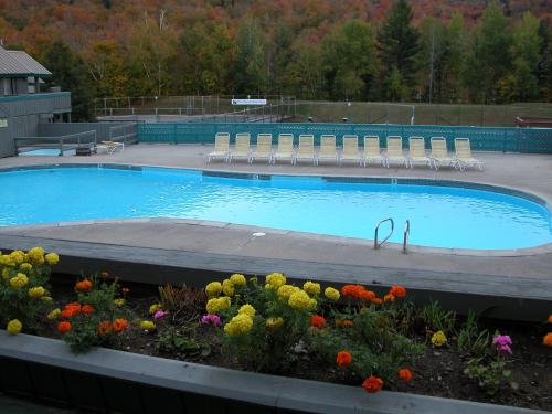 Village of Loon Mountain - VI - image 5