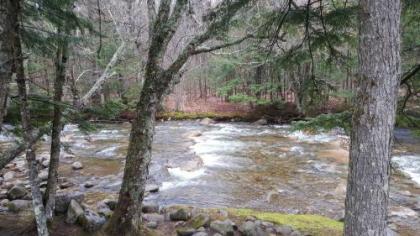Franconia Notch Motel - image 2