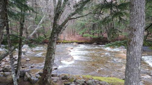 Franconia Notch Motel - image 2