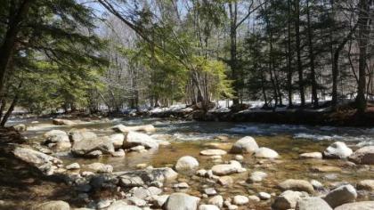Franconia Notch Motel - image 3