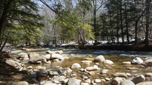 Franconia Notch Motel - image 3