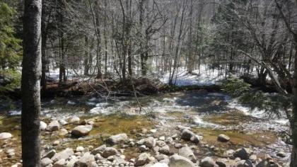 Franconia Notch Motel - image 4