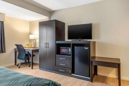 Quality Inn & Suites - image 4