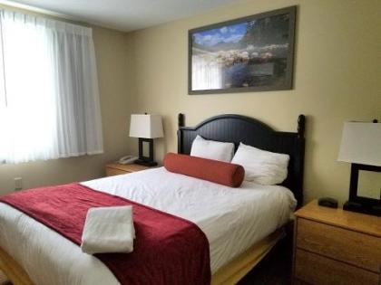 Village of Loon Mountain a VRI resort - image 4
