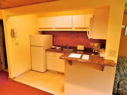 Slopeslide Resort Suites at Base of Loon Mountain - image 5