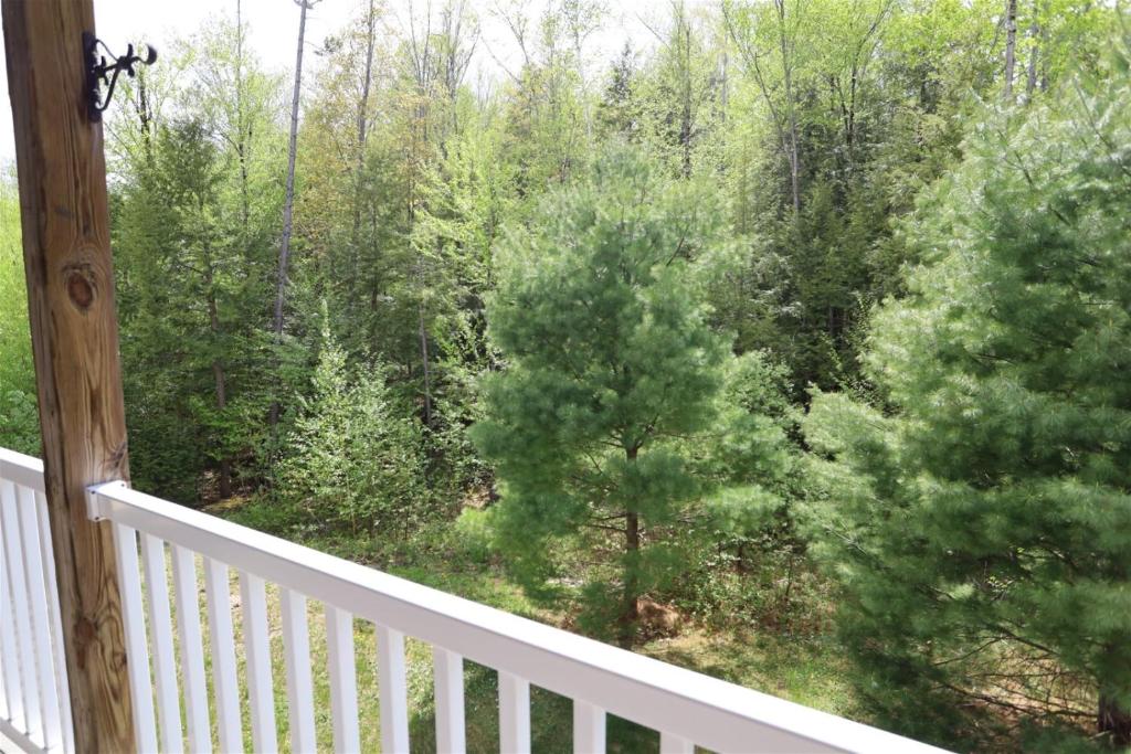 Forest Ridge 7WL Lincoln - image 5