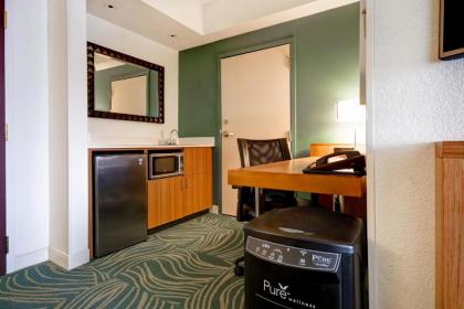 SpringHill Suites by Marriott Baltimore BWI Airport - image 10