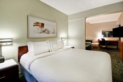 SpringHill Suites by Marriott Baltimore BWI Airport - image 14