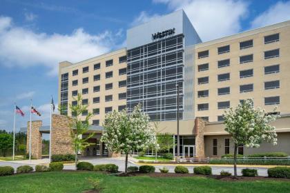 The Westin Baltimore Washington Airport - BWI - image 14